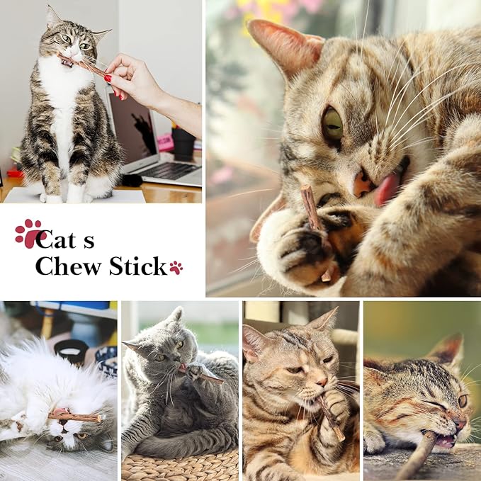 32 PCS Cat Toys Kitten Toys, Variety Catnip Toys with Rainbow Tunnel Interactive Cat Feather Teaser Fluffy Mouse Crinkle Balls Spring Toy Set for Cat, Kitty