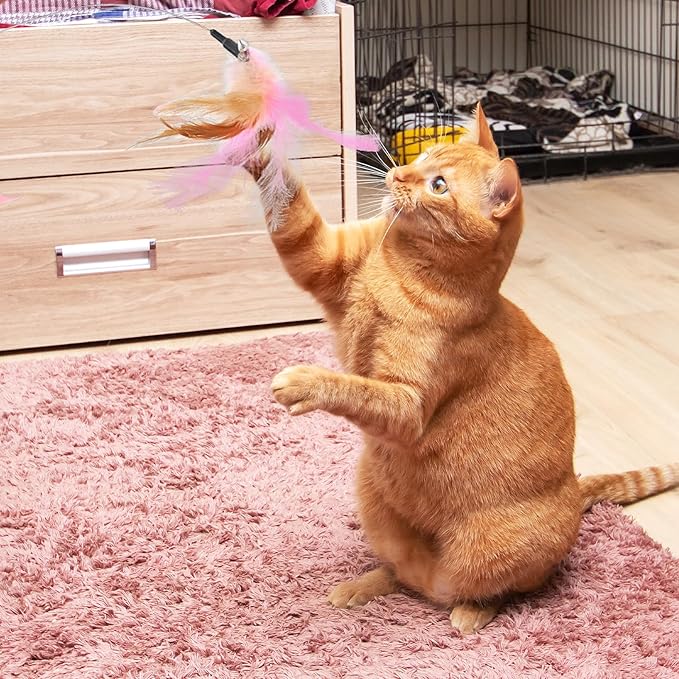 2Pcs Cat Collar Toy, Adjustable Cat Feather Neck Collar Toy Cat Teasing Wand with Silicone Collar, Funny Cat Stick, Interactive Self Playing Toys Bell for Indoor Cat Playing Small Animals(Blue, Pink)