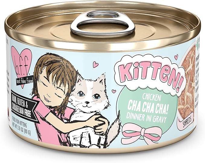 B.F.F. Kitten, Cute to Boot, 2.8oz Can (Pack of 12)