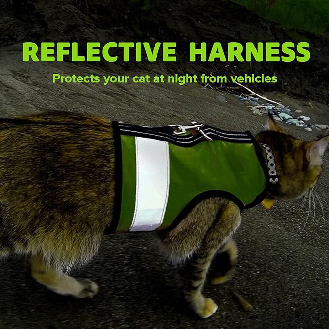 Reflective Cat Harness - High-Visibility Cat Vest for Day & Night | Secure, Breathable and Washable Cotton | Ideal for Walking & Traveling - Loud Lime, M to L