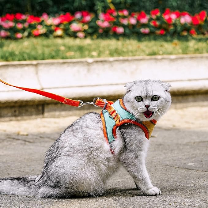 JSXD Cat Harness,Leash and Collar Set,Escape Proof Kitten Vest Harness for Walking,Easy Control Night Safe Pet Harness with Reflective Strap and Bell for Small Large Kitten,Fit for Puppy,Rabbit