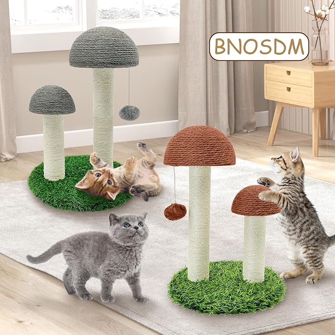 BNOSDM Mushroom Cat Scratching Post, Cat Scratcher with 2 Sisal Poles 12 Pcs Cat Toys and Hanging Ball, Pet Interactive Toy Scratch Post for Indoor Kitten Kitty Small Cats (Coffee)