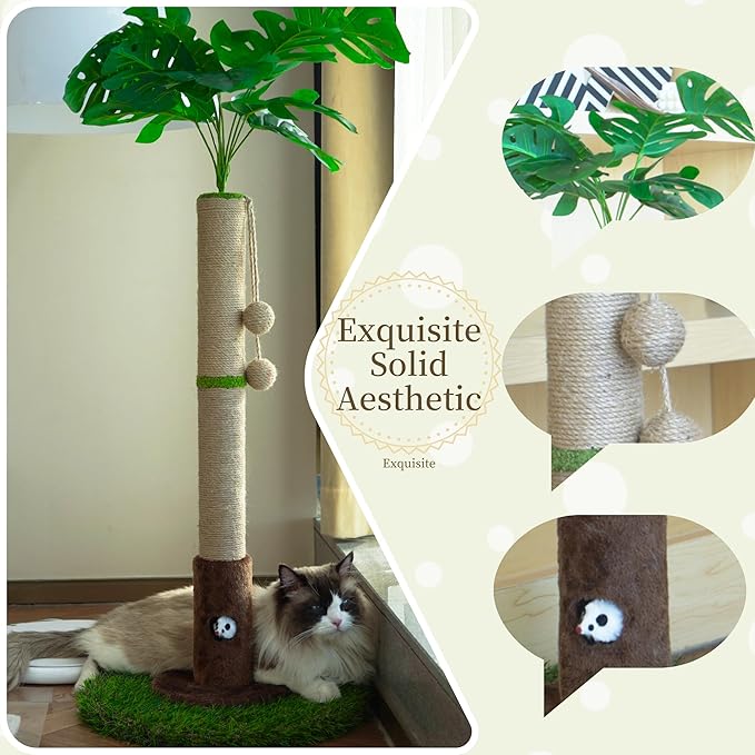 Cat Scratching Post for Indoor Cats and Kitten - 35.43" Tall Cat Scratching Post with Sisal Rope,Palm Tree Cat Scratch Post with Hanging Ball
