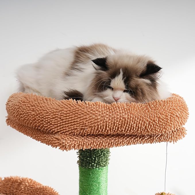 Heybly Cat Tree, Cactus Cat Tower for Indoor Cats,Multi-Level Cat Furniture Condo for Cats with Padded Plush Perch, Cozy Basket and Scratching Board HCT014CA