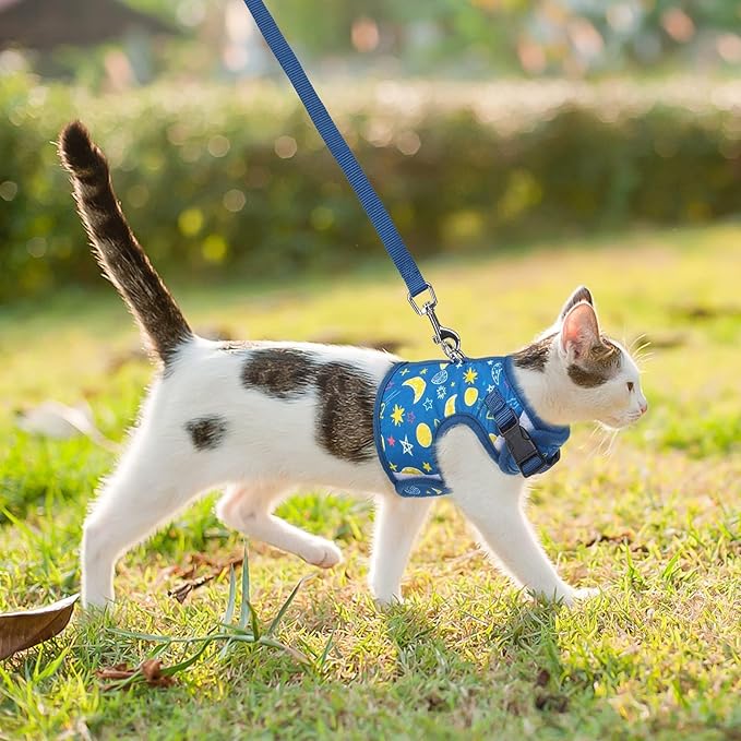 BINGPET Cat Harness with Leash Escape Proof - Fashionable Mesh Cat Dog Walking Harness Leads, Adjustable for Kitties Puppies Small Animals,Galaxy,S