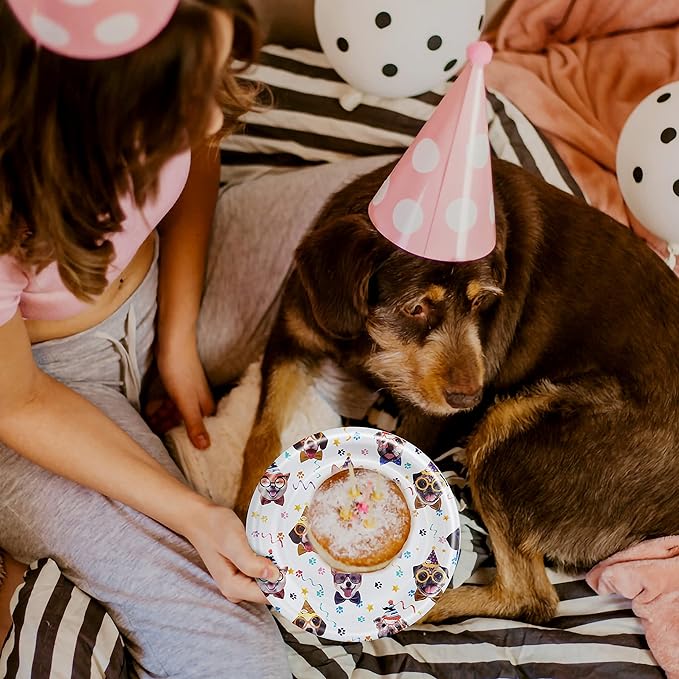 96 Pcs Dog Birthday Party Plates Napkins Forks Supplies Tableware Set Disposable Paper Dog Theme Decoration for Kids Birthday Party, Serves 24 Guests