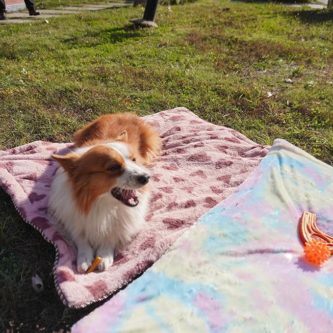 Self Warming Cat Bed, Super Soft Thermal Dog Crate Bed Mat for Sleeping, Washable Anti-Slip Self Heating Pet Kennel Pad for Small Medium Cats Dogs Indoor Outdoor (Color, XXL)