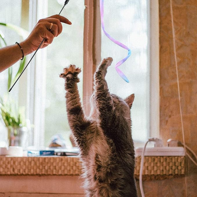 3 Pieces Jungle Cat Wand Cat Teaser Charmer Interactive Cat Toys Wand Fun Cat Kitten Kitty Playing Toy, 3 Styles (Charming Color)