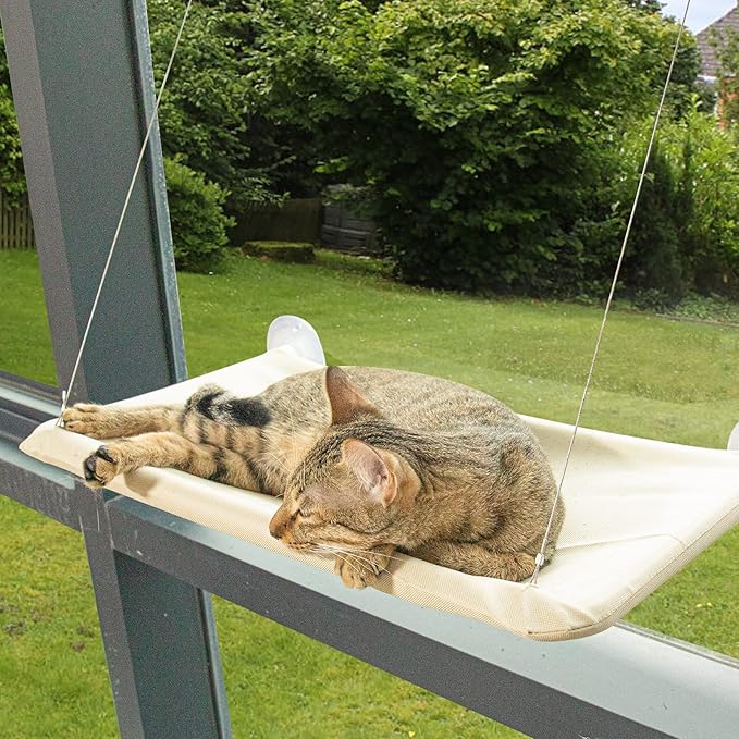 Cat Window Perch, Cat Window Hammock, Window Perch for Cats Inside Up to 50lbs