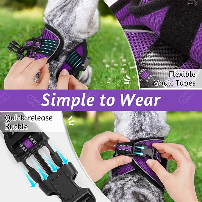 rabbitgoo Cat Harness and Leash Set for Walking Escape Proof, Adjustable Soft Kittens Vest with Reflective Strip for Cats, Comfortable Outdoor Vest, Purple, S
