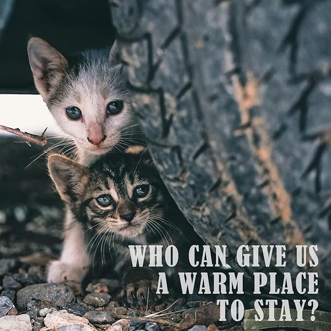 PETNF Outdoor Pet Heating Pad for Cats Outside, Cat Heating Pad Outdoor Winter Waterproof, Heated Cat Bed Safe Electric Cat Warming Pad Mat Blanket for Feral Cat, Heated Mat for Dog Cat House, 28"X16"