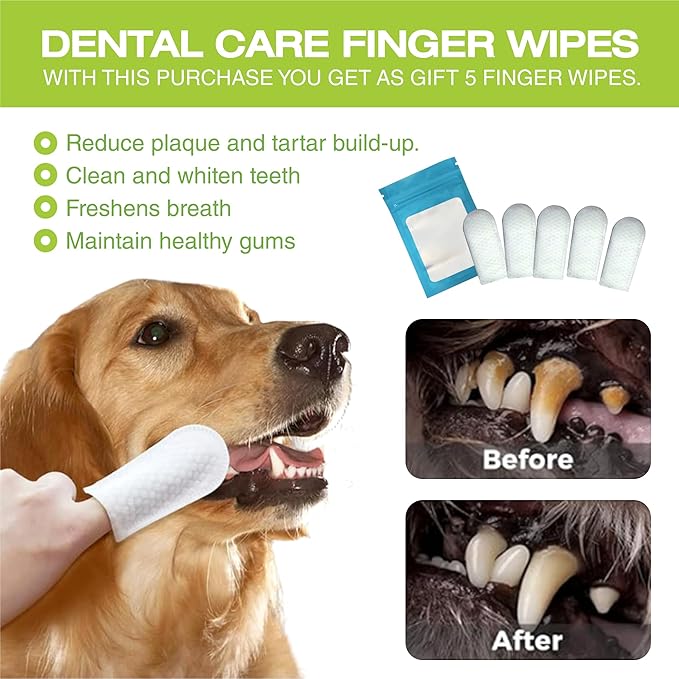 2PCS Dog Braces for Back Leg for Support. Dog Arthritis Brace. Hind Leg Support for Dogs. Leg Brace for Dogs Back Leg. Dog Leg Brace. Dog Back Leg Support Brace. Dog Hock Brace Rear Leg (XL)