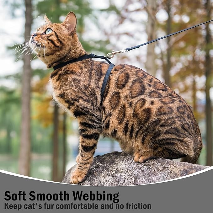PUPTECK Adjustable Cat Harness and Leash Set Escape Proof Kitten Strap Collar for Walking Travel, Black, M