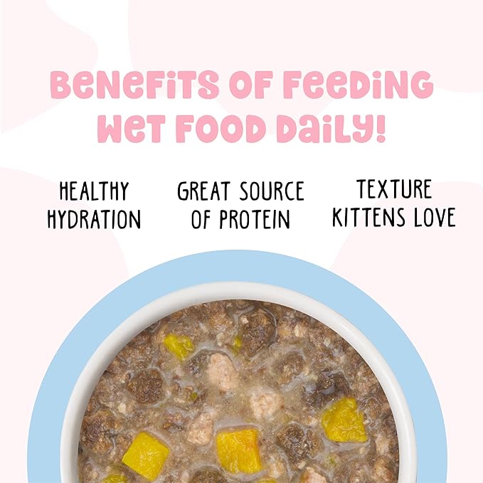 B.F.F. Kitten, Cuddle Buds, 2.8oz Can (Pack of 12)