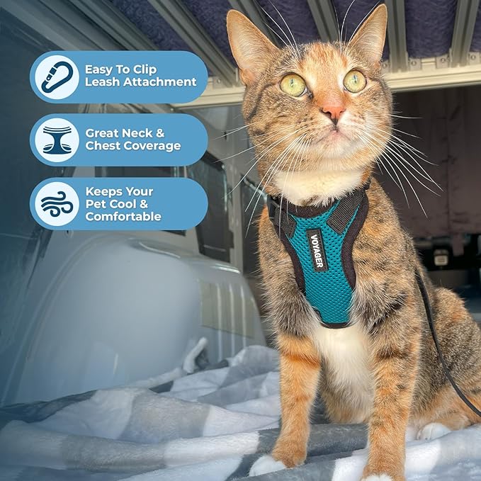 Voyager Step-in Lock Adjustable Cat Harness w. Cat Leash Combo Set with Neoprene Handle 5ft - Supports Small, Medium and Large Breed Cats by Best Pet Supplies - Turquoise/Black Trim, XXS