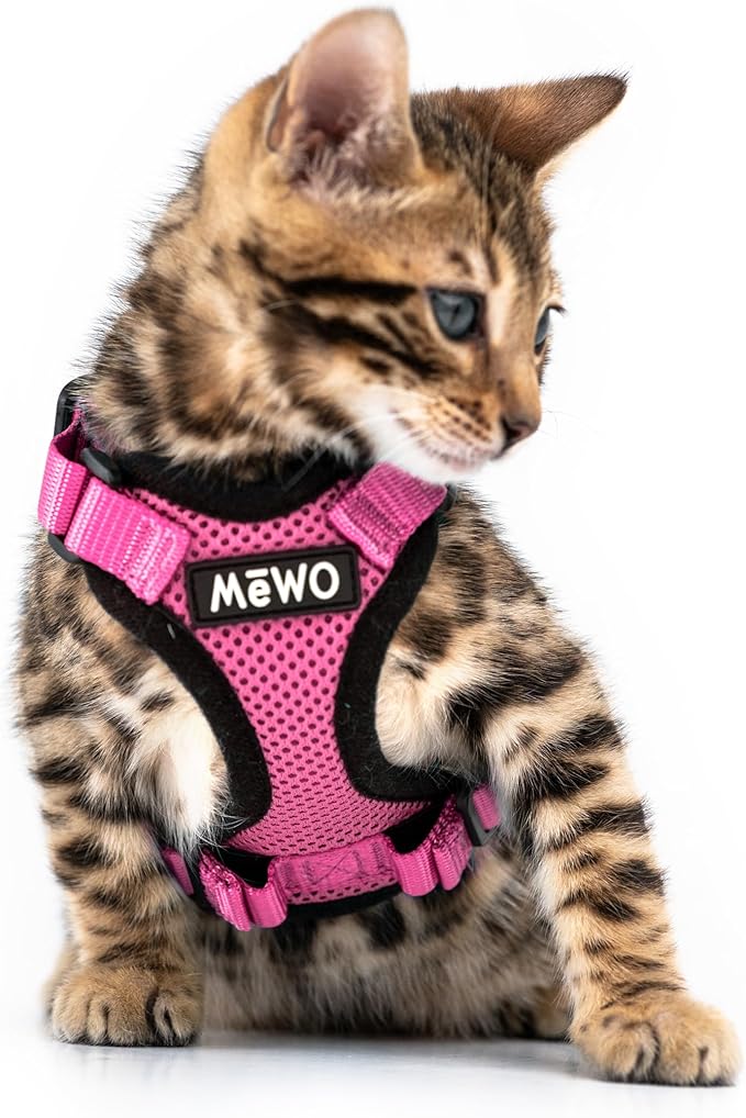 MeWO Kitten Leash and Harness Set - Escape Proof, Reflective, Adjustable for a Safe & Snug Fit - Small Cat Harness and Leash Set Cat Leashes and Harnesses for Walking Outdoors Kitten Harness and Leash