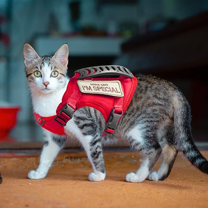 Tactical Cat Harness for Walking Escape Proof, Adjustable Pet Vest Harness, Soft Mesh with Control Handle for Large Cat Small Dog, Gift with Patch
