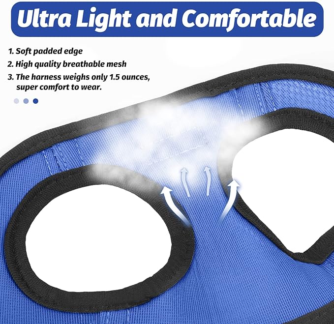 FAYOGOO Cat Harness, Cat Leash and Harness Set for Walking Escape Proof, Harness for Small Cats/Small Dogs, Large Kitten/Puppy Harness and Leash, Harness for Cats S-XXL(Royal Blue, Large)