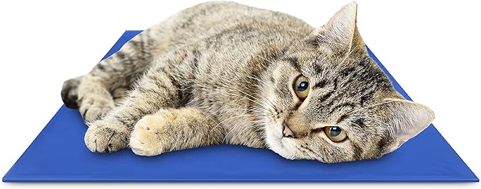 CHILLZ Cat Cooling Mat, Medium Size - Pressure Activated Cat Cooling Pad, Ideal for Summer - Non-Toxic Pet Cooling Mat for Cats, Self Cooling Gel Pad - No Water or Electricity Needed - 20" x 16"