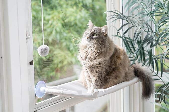 Cat Window Perch | Gray Cat Window Hammock | Cat Window Seat Enrichment Toy | Cat Bed | Cat Window Perch for Large Cats with Heavy Duty Suction Cups | Window Hammock for Cats Inside