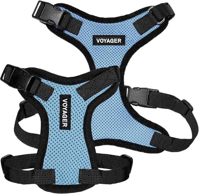 Voyager Step-in Lock Pet Harness - All Weather Mesh, Adjustable Step in Harness for Cats and Dogs by Best Pet Supplies - Baby Blue/Black Trim, M