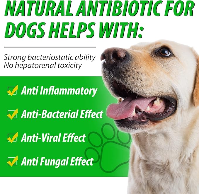 Antibiotics for Dogs, Dog Antibiotics, Dog Supplies Antibiotics, Natural Dog Antibiotics Supports Dog Allergy and Itch Relief, Dog Multivitamin for Pets-60ml / 2 Fl Oz