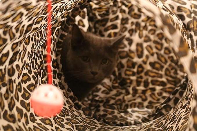 3 Way Cat Tunnel. Extra Large 12 Inch Diameter and Extra Long. A Big Collapsible Play Toy. Wide Pet Tunnel Tube for Rabbits, Kittens, Large Cats, and Dogs (Animal Print)