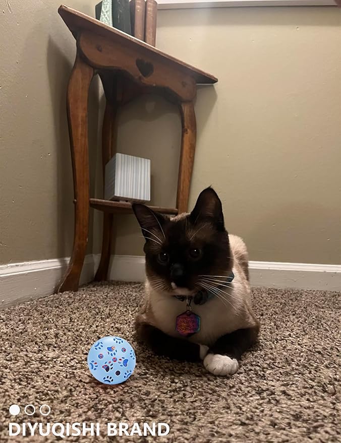 19-Piece Cat Toys Pack - 5 Bell Balls, 10 Plush Balls, 4 Spring Toys - Kitten Toys for Indoor Cats