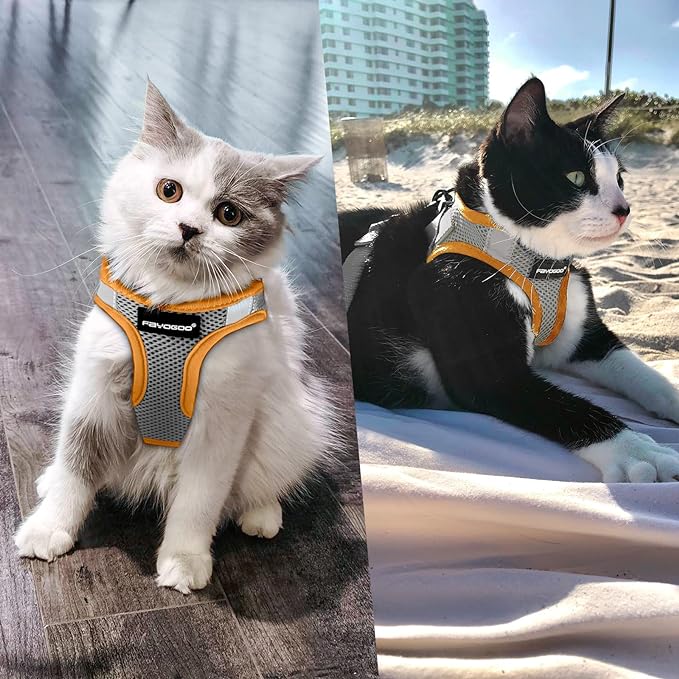 FAYOGOO Cat Harness, Cat Leash and Harness Set for Walking Escape Proof, Harness for Small Cats/Small Dogs, Large Kitten/Puppy Harness and Leash, Harness for Cats S-XXL(Gray, Medium)