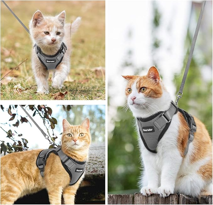 Dooradar Cat Harness and Leash Set, Escape Proof Safe Adjustable Kitten Vest Harnesses for Walking, Easy Control Soft Breathable Mesh Jacket with Reflective Strips for Cats, Grey, S