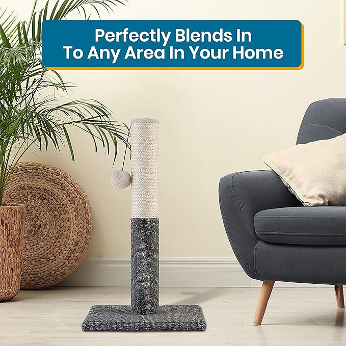 PAWBEE 20" Tall Cat Scratching Post for Indoor Cats - Durable Sisal Rope Scratcher Pole with Playful Hanging Ball - Ideal Cat Tower Alternative for Kittens and Large Cats - Sturdy Cat Scratchers