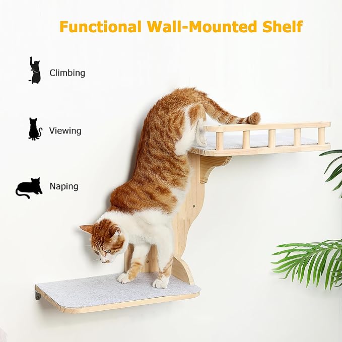 Wall Mounted Cat Shelves for Inside,2-Levels Wall Perch with Scratching Mat,Solid Pine Wood Floating Furniture for Climb,Lounge and Sleep (Right)