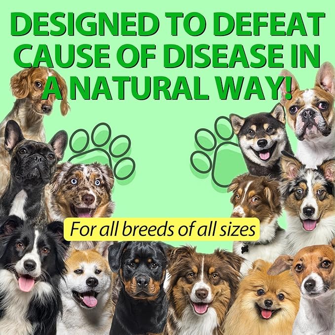 Antibiotics for Dogs, Dog Antibiotics, Dog Supplies Antibiotics, Natural Dog Antibiotics Supports Dog Allergy and Itch Relief, Dog Multivitamin for Pets-60ml / 2 Fl Oz