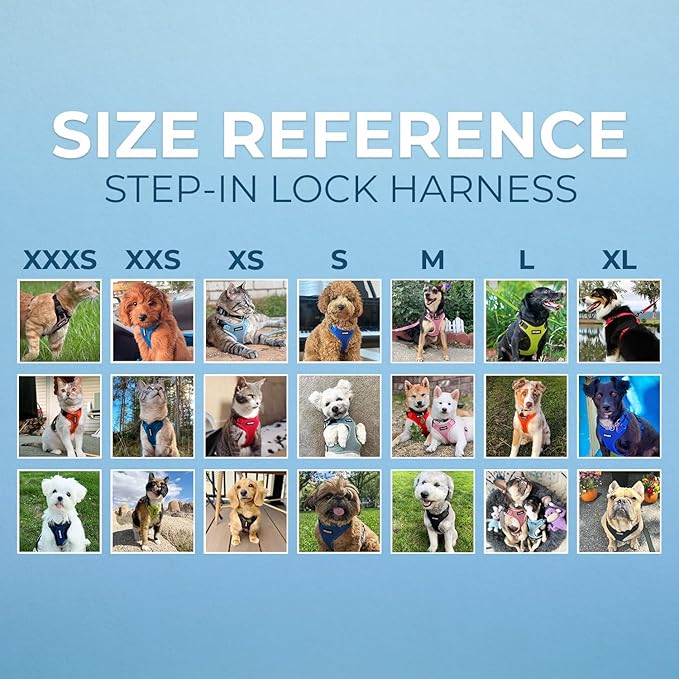 Voyager Step-in Lock Pet Harness - All Weather Mesh, Adjustable Step in Harness for Cats and Dogs by Best Pet Supplies - Lime Green/Black Trim, XS