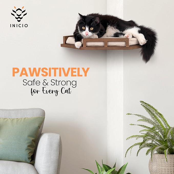 Cat Wall Shelves - Cat Shelves for Wall, Cat Shelf w/Cat Wall Steps, Cat Shelf for Wall - Corner Cat Shelf, Cat Shelves with Cat Wall Bed