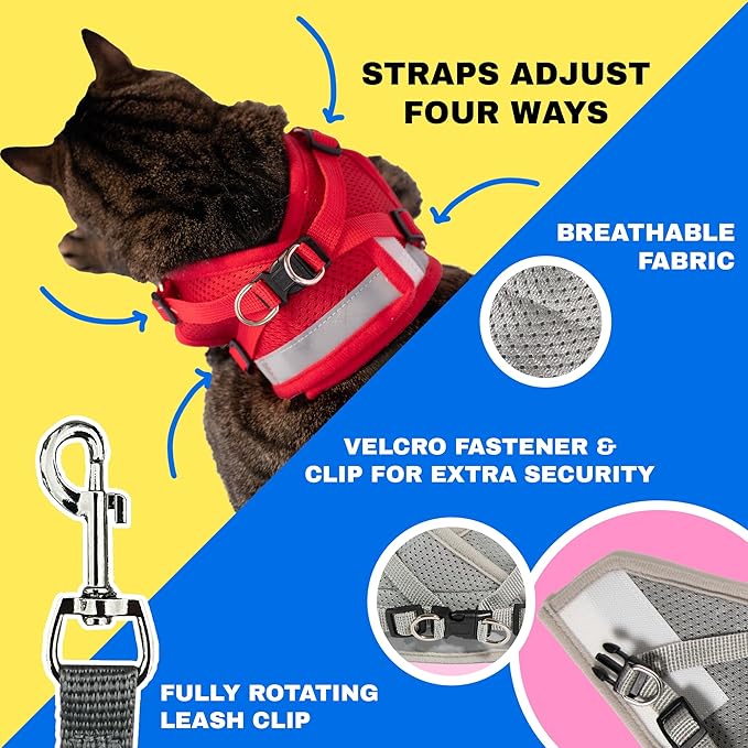 Travel Cat Harness and Leash Set - Adjustable Fit Mesh Cat Harness and Reflective Strap - Comfort Escape Proof Harness for Cats, Kitten for Outdoor Walking, Hiking (Small, Cash)