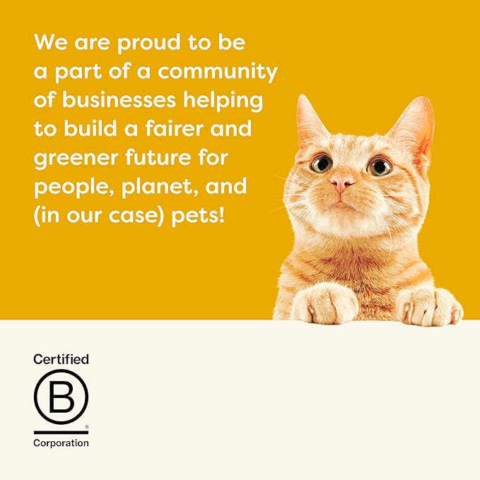 Applaws Complete Dry Cat Food, Grain Free, Limited Ingredient Food for Cats, Added Vitamins and Minerals for a Balanced Diet, Chicken Recipe, 3 x 4 lb Bags