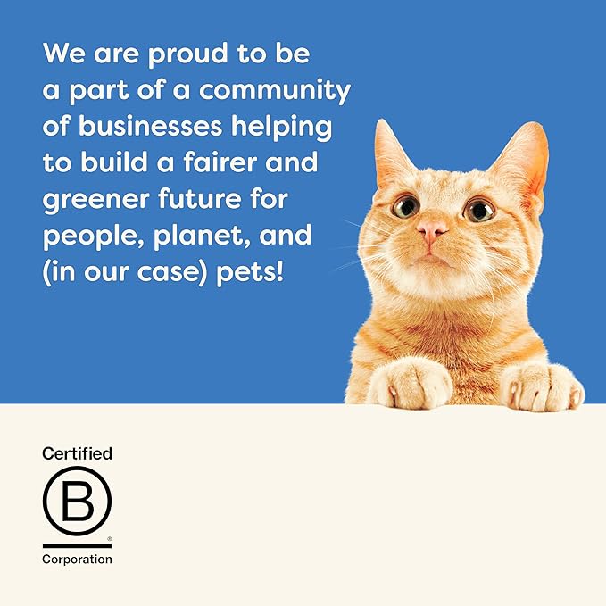 Applaws Natural Wet Cat Food in Broth, Limited Ingredient Wet Cat Food Pouches, No Additives, Made with Natural Ingredients, Tuna Fillet in Broth (12 x 2.47oz Pouches)