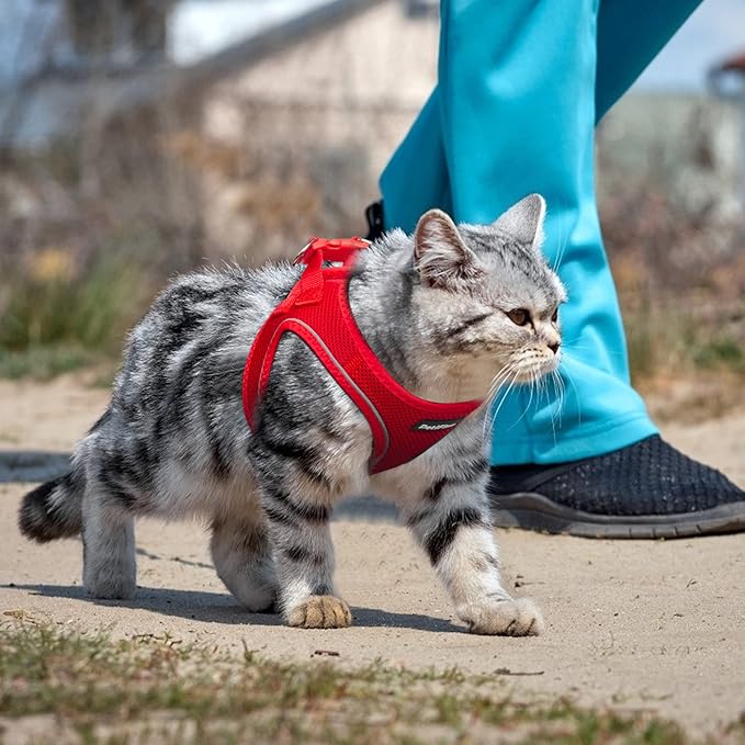 PetiFine Extra Small Step in Dog Harness and Leash Set, Cat Harness and Leash Escape Proof, All Weather Mesh Reflective, Step-in Air Vest Harnesses for Puppy(XXXS, Red)