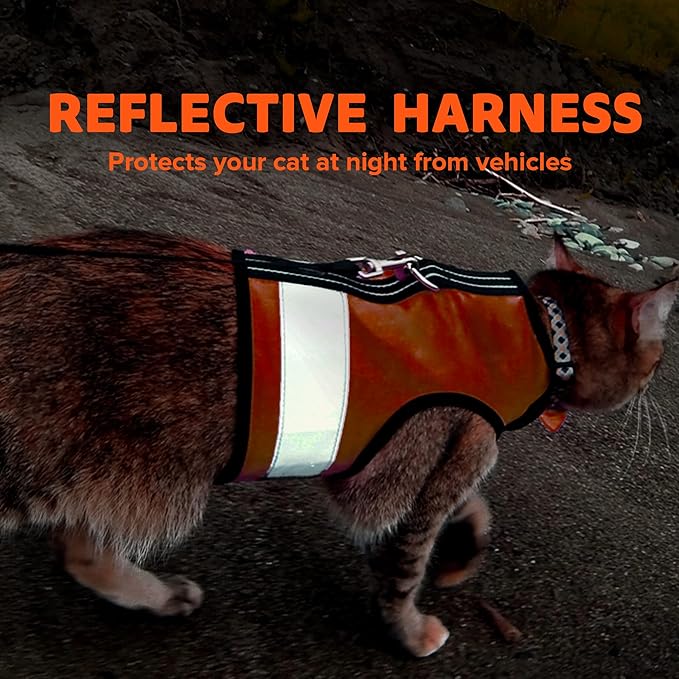 Reflective Cat Harness - High-Visibility Cat Vest for Day & Night | Secure, Breathable and Washable Cotton | Ideal for Walking & Traveling - Outrageous Orange, S to M