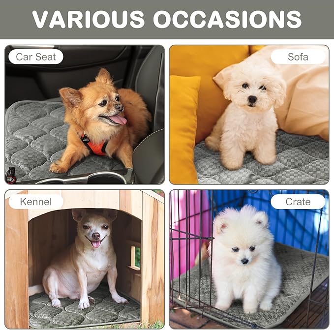 4 Pack Self Warming Cat Bed 16 x 20 Self Heating Cat Mat Warm Thermal Pet Pad Washable Dog Crate Pad Body Heat Dog Cat Bed Mat Blanket Non Slip Bottom for Outdoor Indoor Pets (Light Grey)