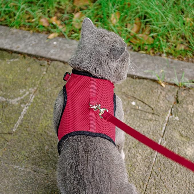 PUPTECK Soft Mesh Cat Vest Harness and Leash Set Puppy Padded Pet Harnesses Escape Proof for Cats Small Dogs Rabbits Bunny