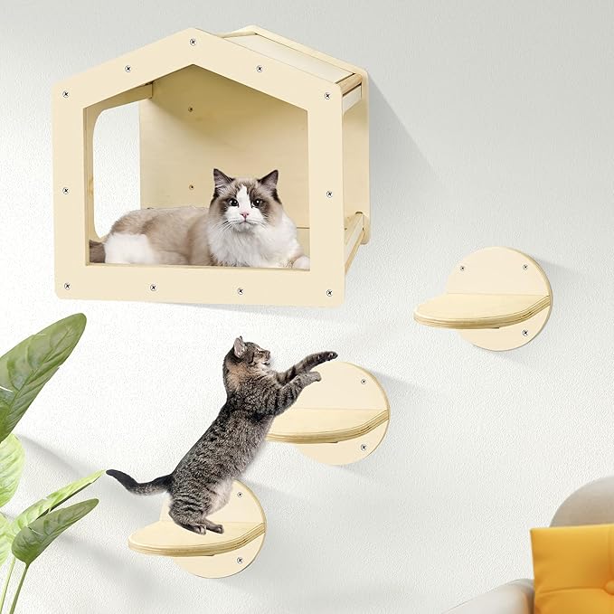 Cat Wall Shelves, Cat Shelves and Perches for Wall, Cat House Fit Cat Up to 25Lbs, 1 Cat Condo House and 3 Large Cat Steps with Scratching Pad, Cat Climbing Shelf for Indoor, Cat Wall Furniture