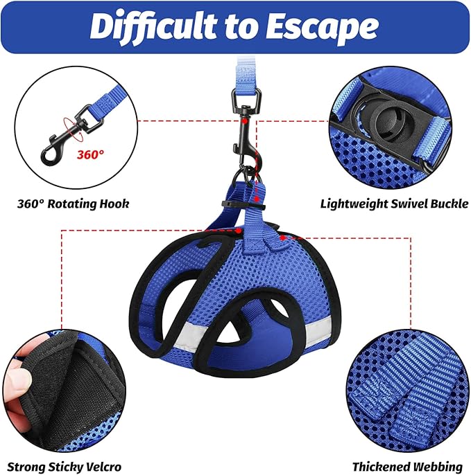 FAYOGOO Cat Harness, Cat Leash and Harness Set for Walking Escape Proof, Harness for Small Cats/Small Dogs, Large Kitten/Puppy Harness and Leash, Harness for Cats S-XXL(Royal Blue, Medium)