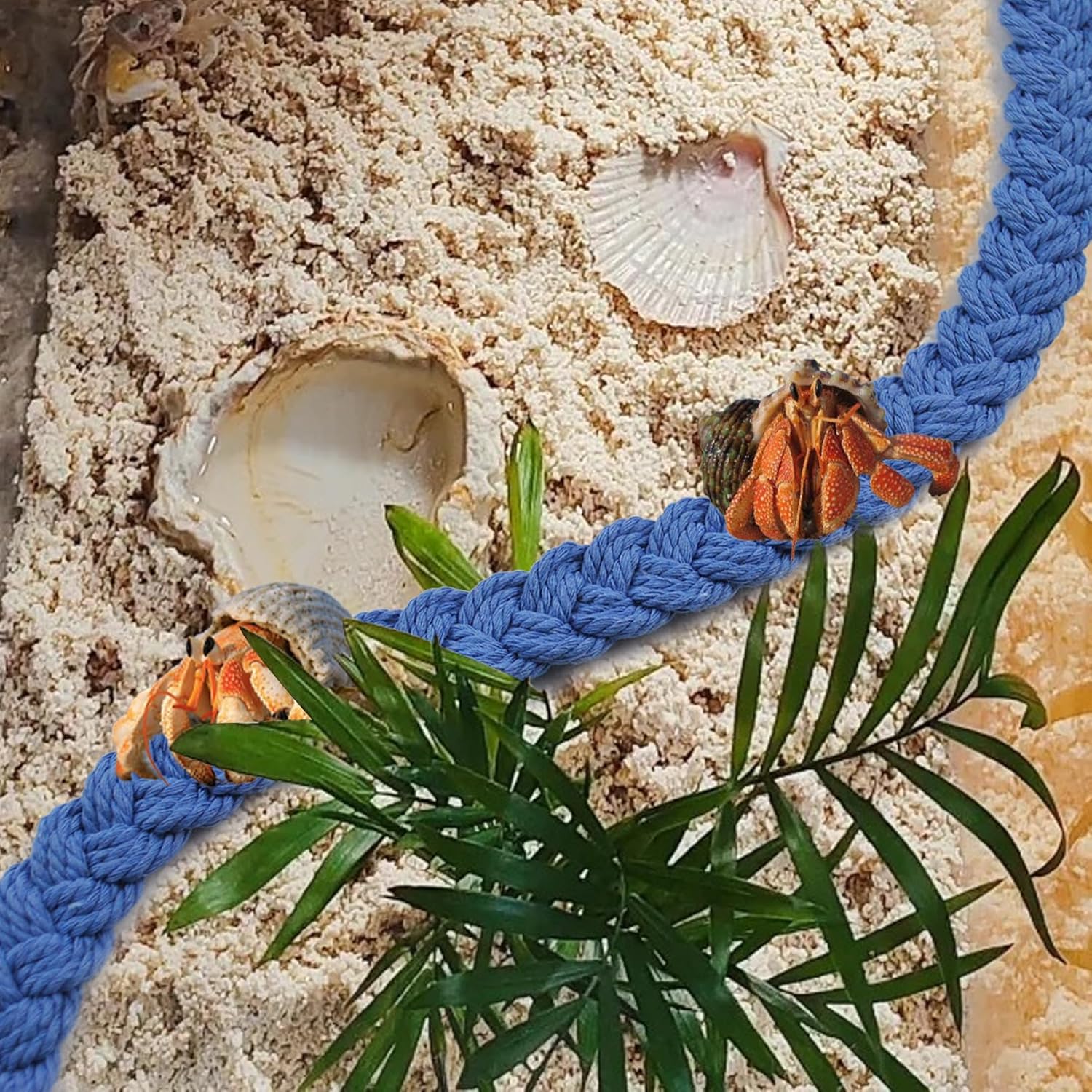 2PCS Hermit Crab Climbing Toys,Hermit Crab Rope Ladder Decor Reptile Hanging Vines Toys Hermit Crab Supplies Reptiles Habitat Tank Terrarium Accessories for Lizard Leopard Gecko Tree Frog(Blue)