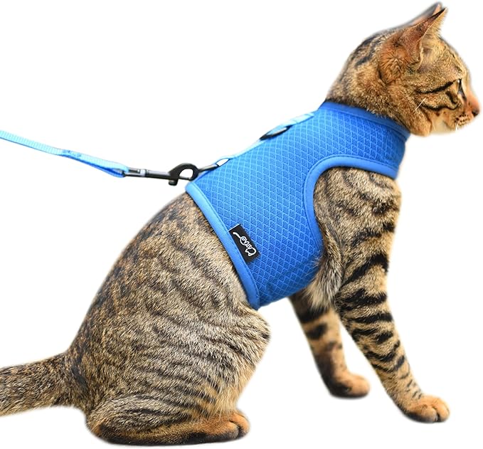 Kitty Harness and Leash for Walking Escape Proof Breathable Mesh Fabric, Solid Blue, Small, Adjustable Cat Walking Jackets, Padded Stylish Cat Vest
