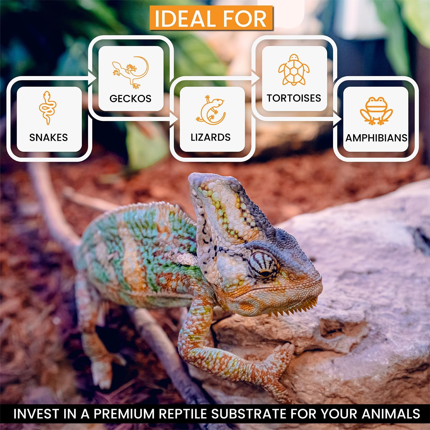 ReptiChip Reptile Substrate Coconut Chip Bedding 72 Quart Compressed Organic Coco Husk Block for Snake Habitat, Ball Python Terrarium, Turtle Tanks, Tortoise Enclosure (5 Pk)