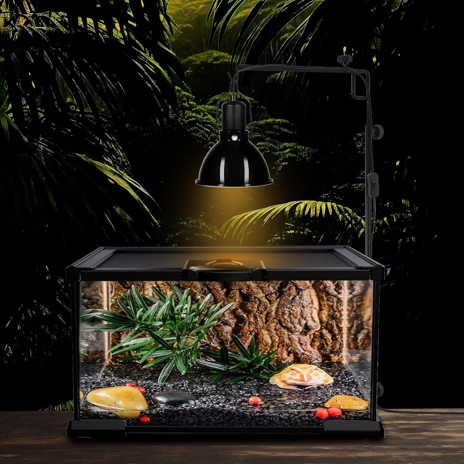 5.5 inch Dome Reptile Light Fixture Reptile Heat Lamp UVB Light Fixture for Bearded Dragon, Lizard, Hermit Crab, Turtle Tank and Terrarium（Max 100W）