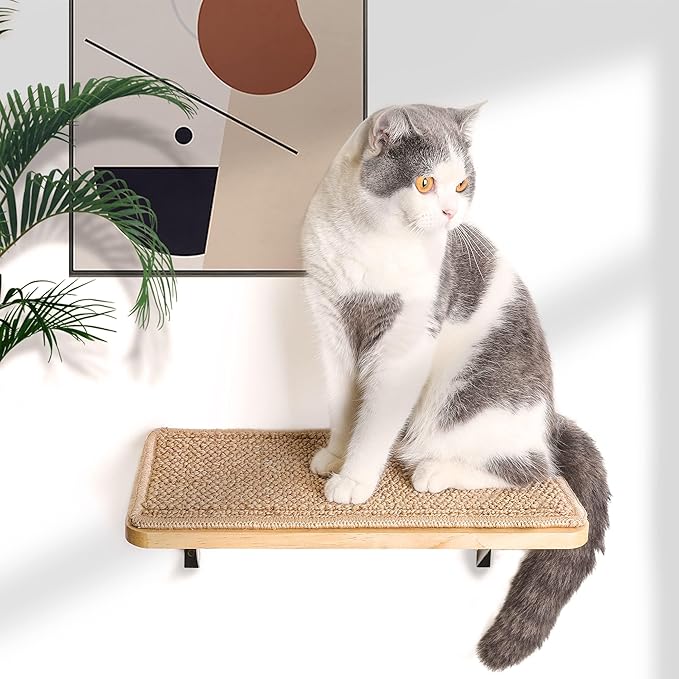 Cat Floating Wall Shelf with Cat Scratching Mat, 1PC 9.7X16.6 Inch Large 1 Inch Thick Wood Cat Window Perches Hanging Shelves Wall Mounted Beds for Sleeping, Playing, Climbing, Support to 30 LBS