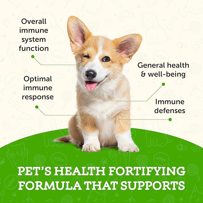Animal Essentials Super Immune for Dogs & Cats - Immune System Support Supplement, Echinacea, Eleuthero, Olive Leaf Extract, Liquid Drops - 1 Fl Oz